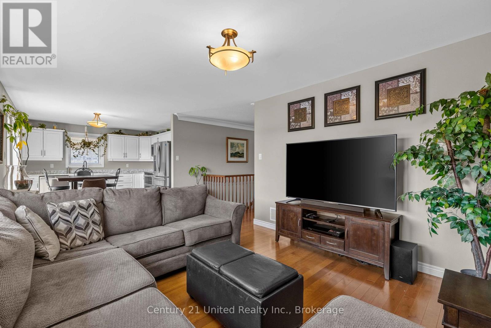41 Darrel Drain Crescent, Asphodel-Norwood, Ontario  K0L 2V0 - Photo 9 - X13466776