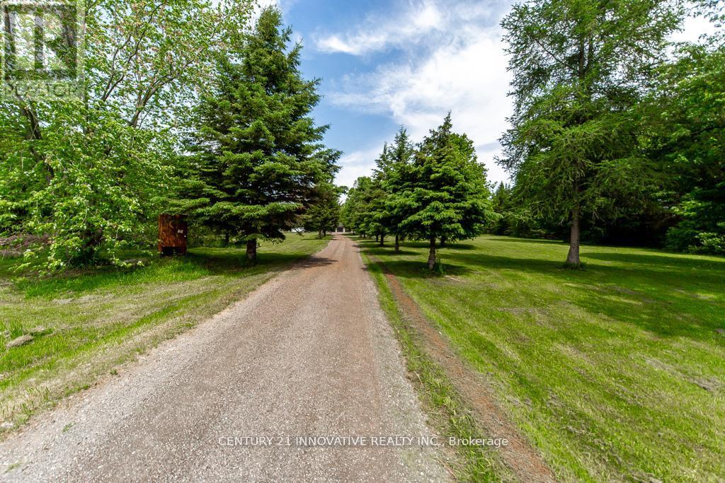 3683 Newtonville Road, Clarington, Ontario  L0A 1J0 - Photo 8 - E13467280