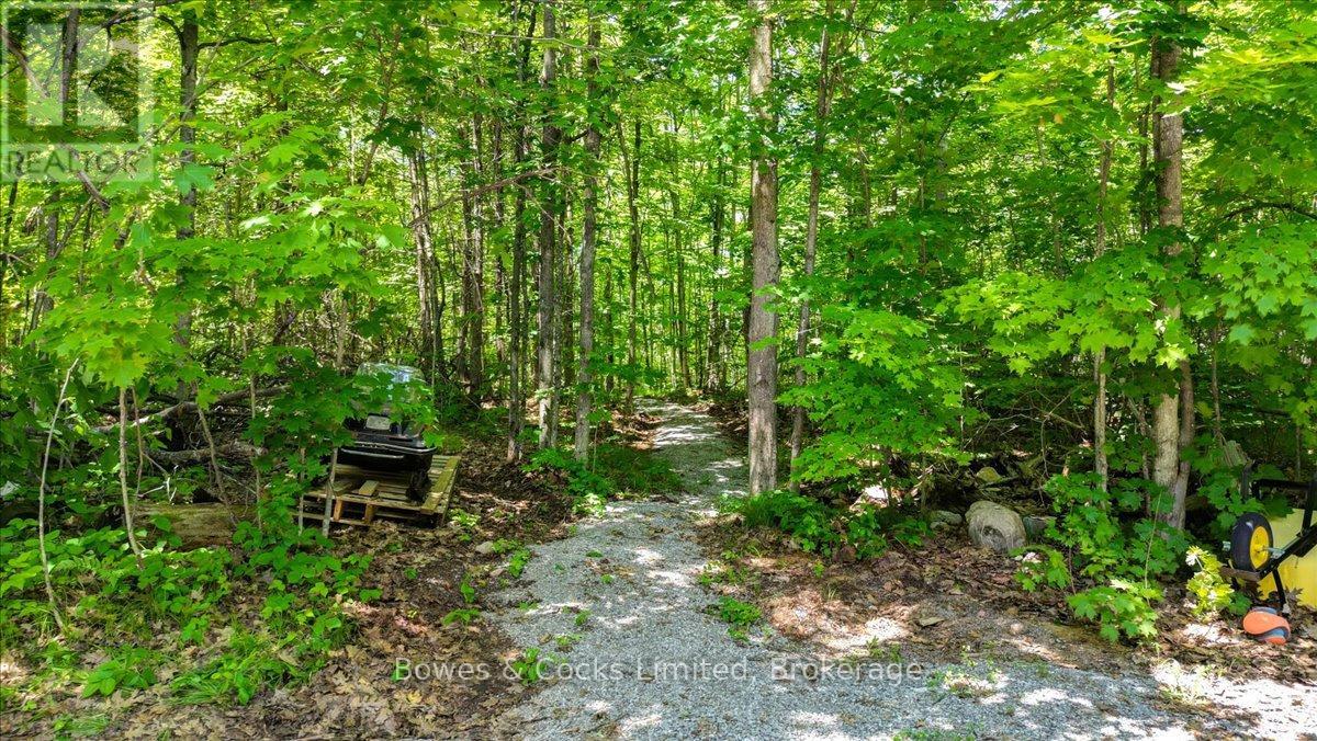 10 Birch Terrace, Trent Lakes, Ontario  K0L 1J0 - Photo 41 - X13469414