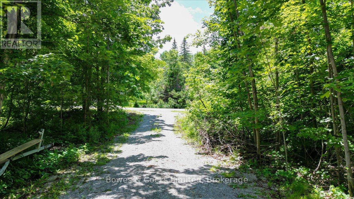 10 Birch Terrace, Trent Lakes, Ontario  K0L 1J0 - Photo 42 - X13469414