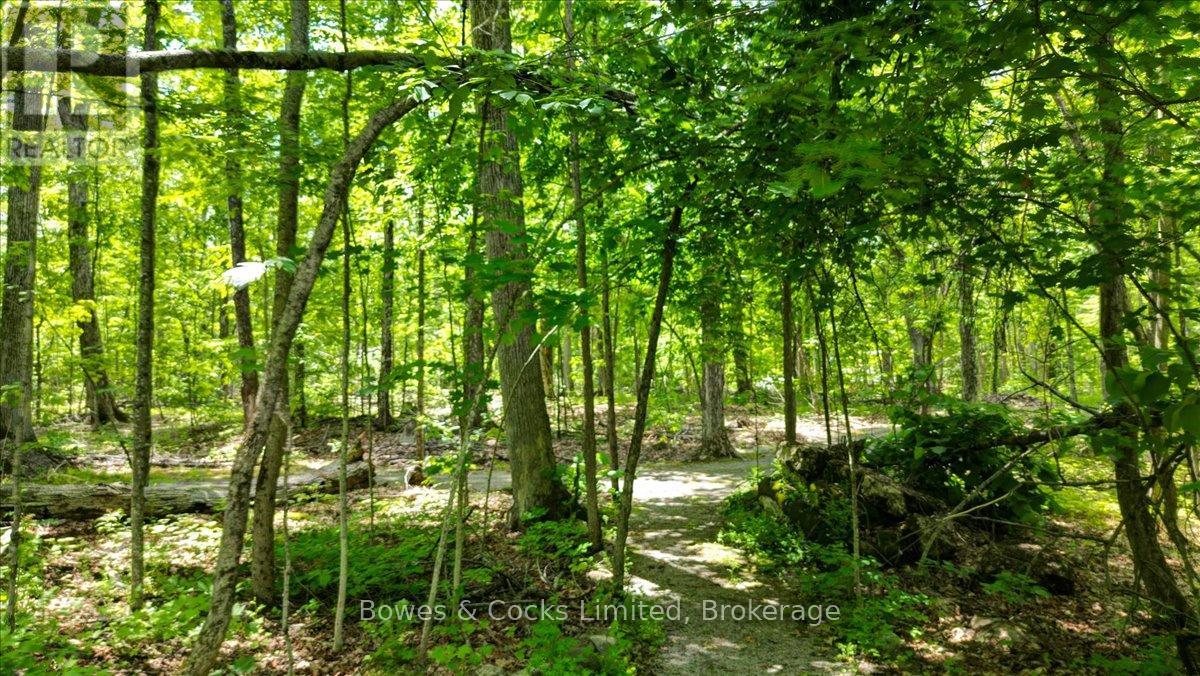 10 Birch Terrace, Trent Lakes, Ontario  K0L 1J0 - Photo 46 - X13469414