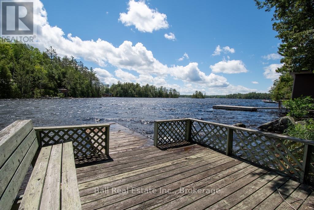 65 Fire Route 213, Trent Lakes, Ontario  K0L 1J0 - Photo 38 - X13471100
