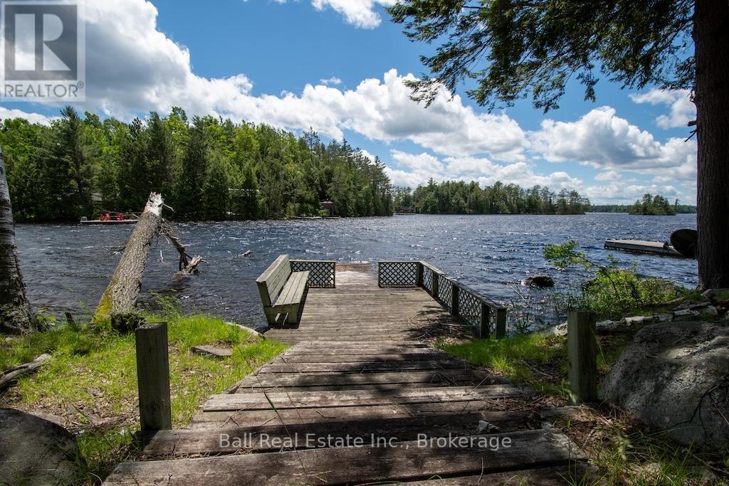 65 Fire Route 213, Trent Lakes, Ontario  K0L 1J0 - Photo 39 - X13471100