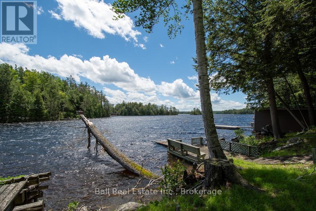 65 Fire Route 213, Trent Lakes, Ontario  K0L 1J0 - Photo 43 - X13471100