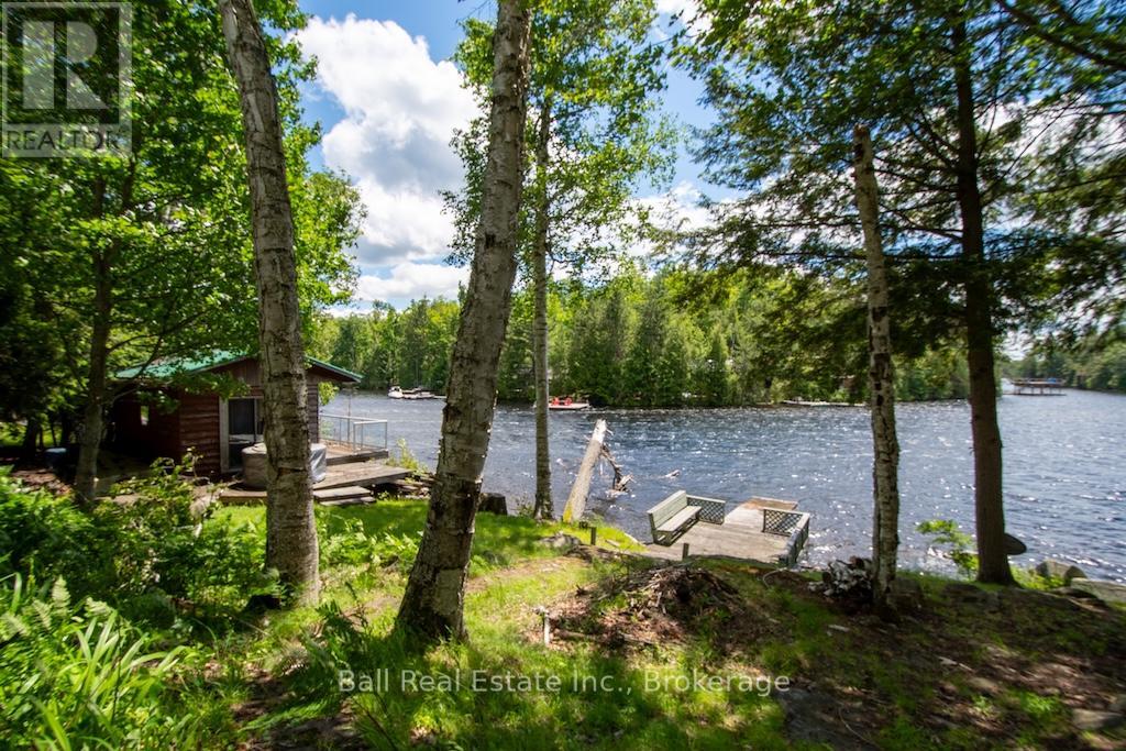 65 Fire Route 213, Trent Lakes, Ontario  K0L 1J0 - Photo 5 - X13471100