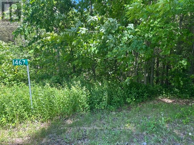 1467 Ford Drive, Cavan Monaghan (Cavan Twp), Ontario  L0A 1C0 - Photo 5 - X13471190