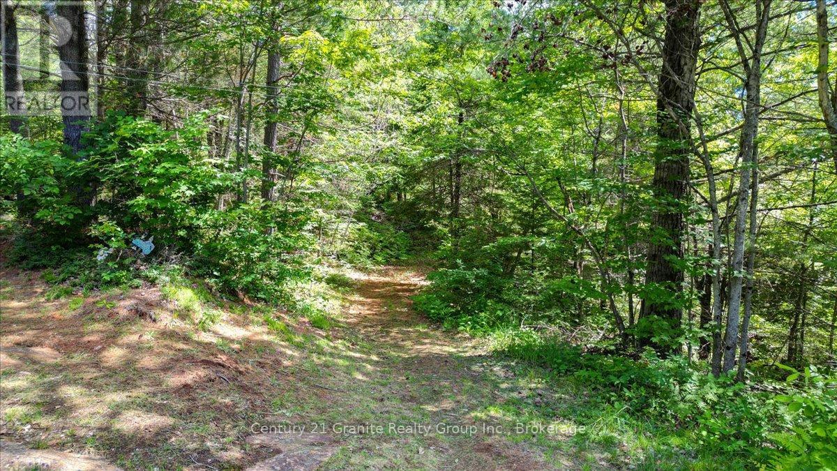 24224 62 Highway, Limerick, Ontario  K0L 1P0 - Photo 42 - X13473582