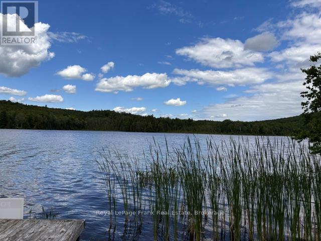 90 Golden Shores Road, Hastings Highlands (Herschel Ward), Ontario  K0L 1C0 - Photo 10 - X13477920