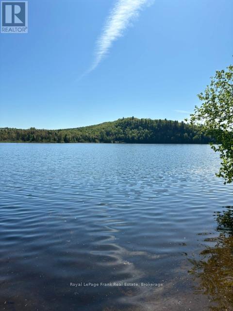 90 Golden Shores Road, Hastings Highlands (Herschel Ward), Ontario  K0L 1C0 - Photo 4 - X13477920