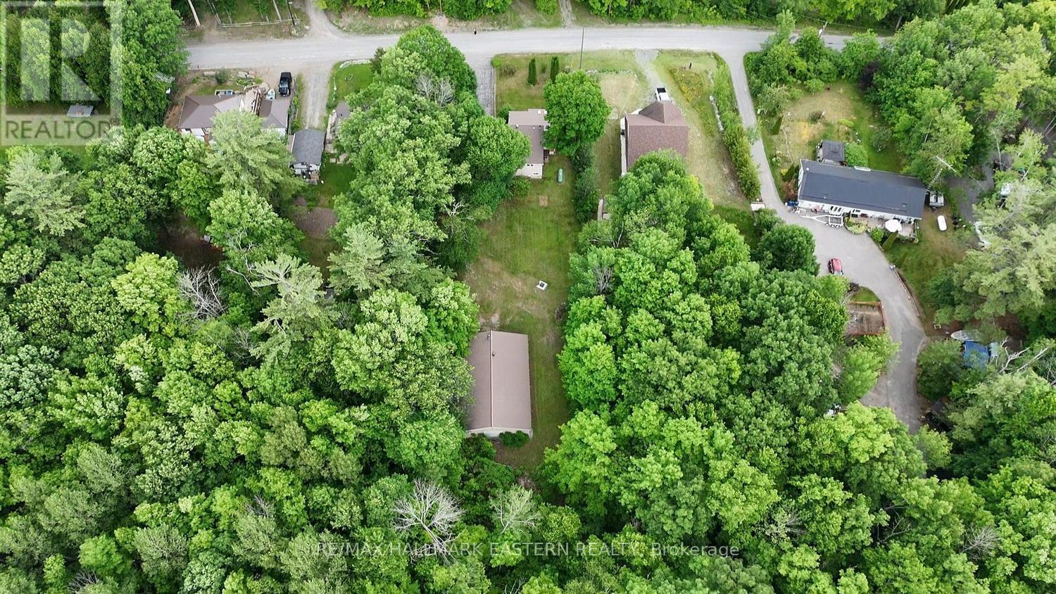 368 Blairton Road, Havelock-Belmont-Methuen (Belmont-Methuen), Ontario  K0L 1Z0 - Photo 6 - X13478850
