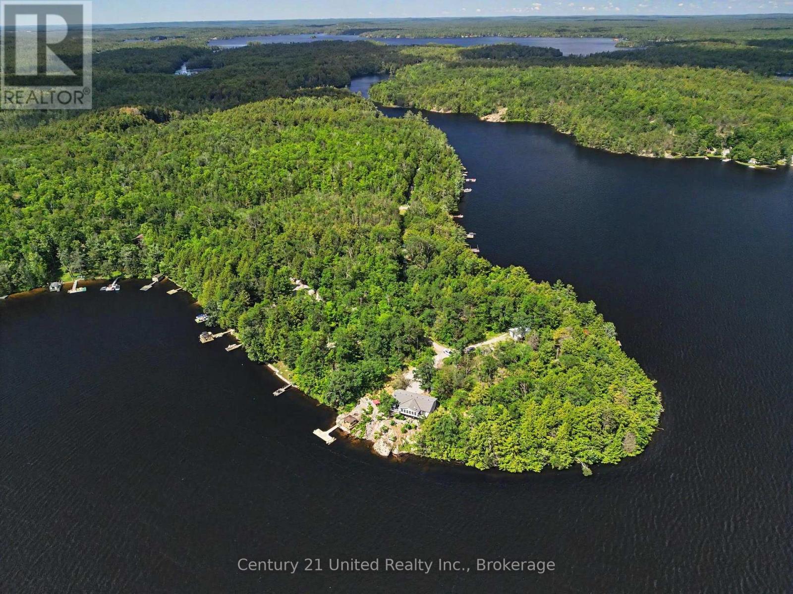 36 Fire Route 141, Trent Lakes, Ontario  K0L 1J0 - Photo 11 - X13484144