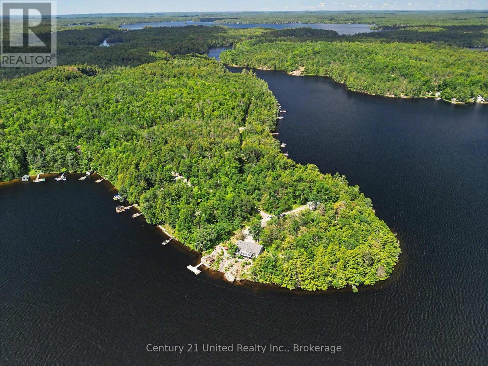 36 Fire Route 141, Trent Lakes, Ontario  K0L 1J0 - Photo 46 - X13484144