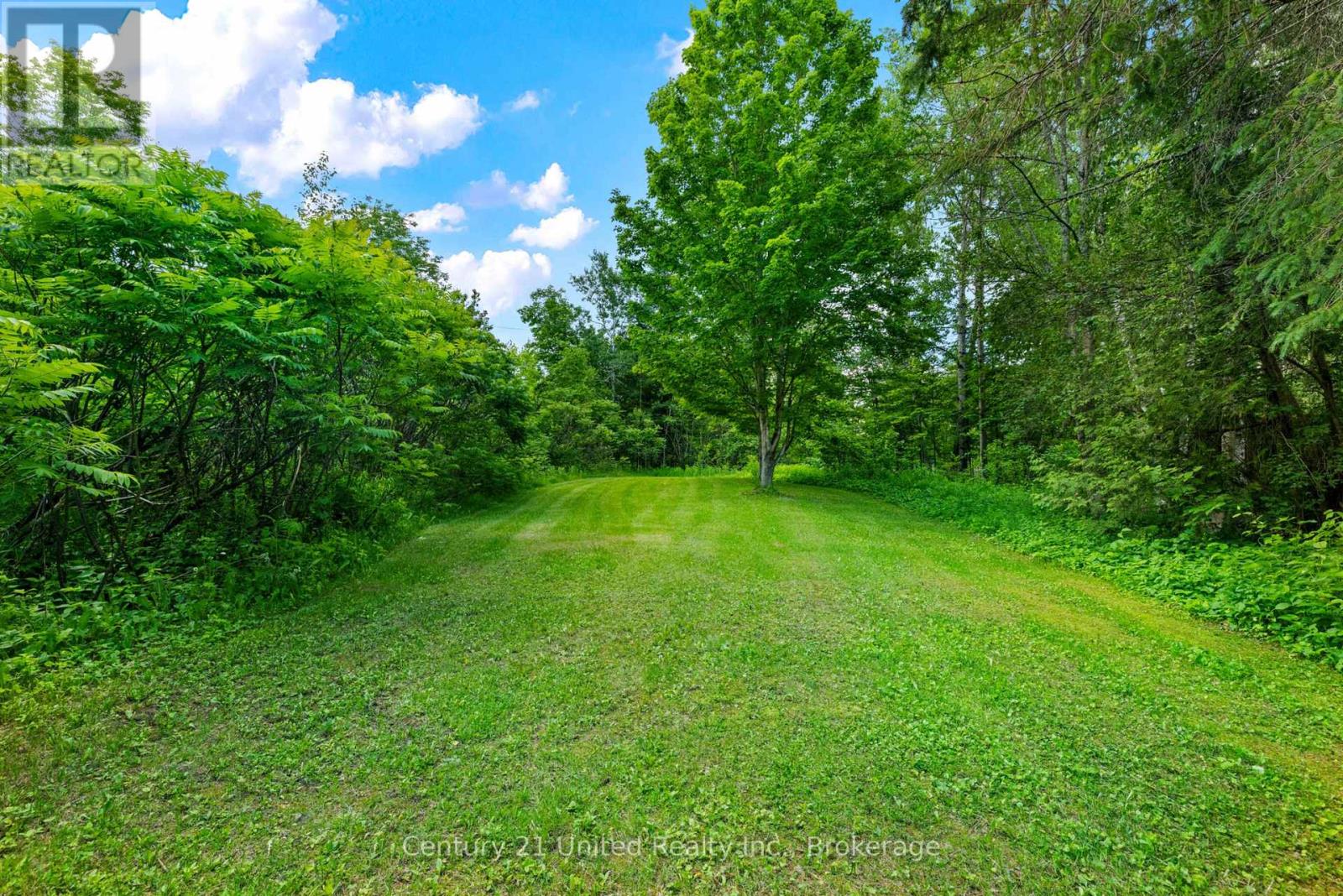 1790 County Road 40, Douro-Dummer, Ontario  K0L 2V0 - Photo 43 - X13484312