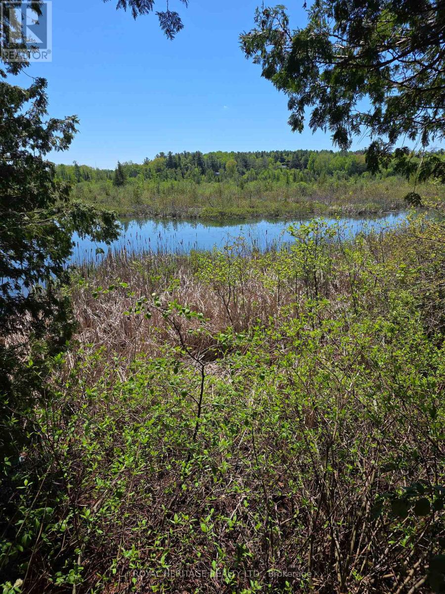120 Charlie's Island, Hamilton Township, Ontario  K0L 1E0 - Photo 17 - X13484386