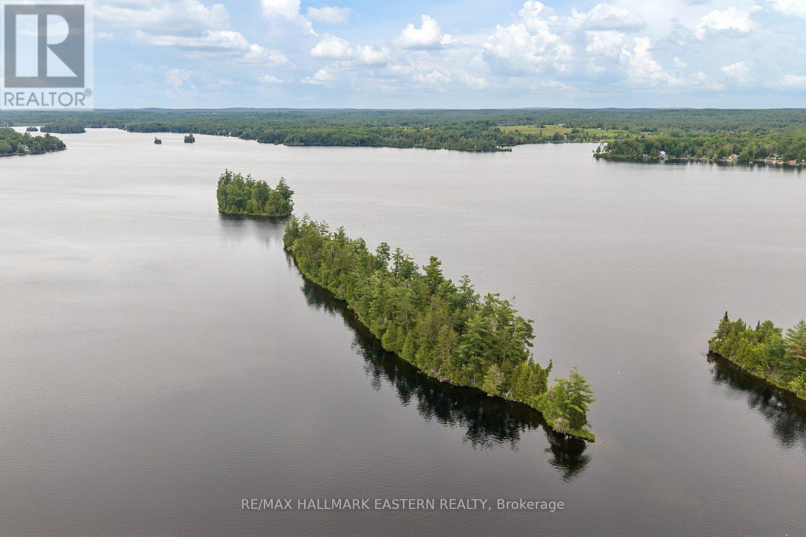 281 String Island S, Havelock-Belmont-Methuen, Ontario  K0L 1Z0 - Photo 2 - X13485148