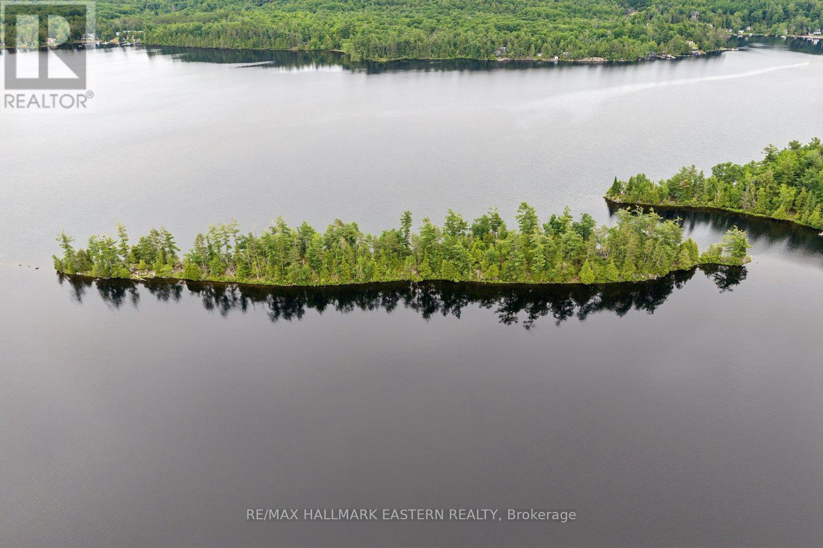 281 String Island S, Havelock-Belmont-Methuen, Ontario  K0L 1Z0 - Photo 3 - X13485148