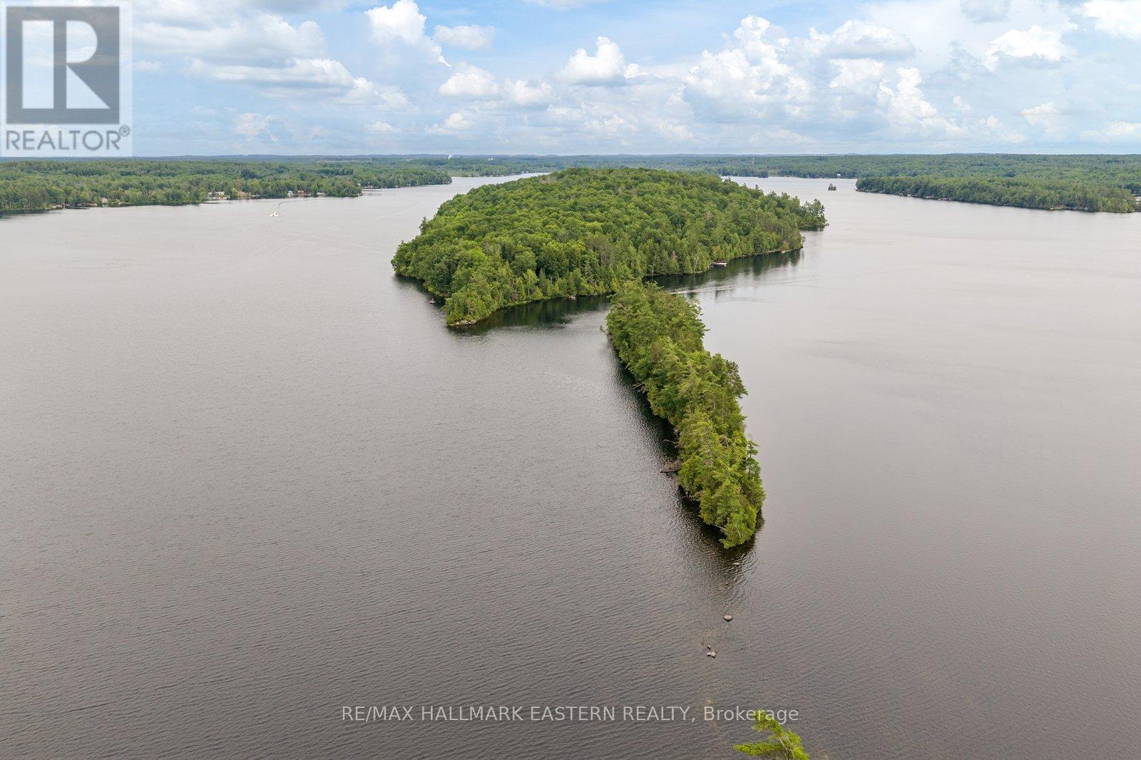 281 String Island S, Havelock-Belmont-Methuen, Ontario  K0L 1Z0 - Photo 7 - X13485148