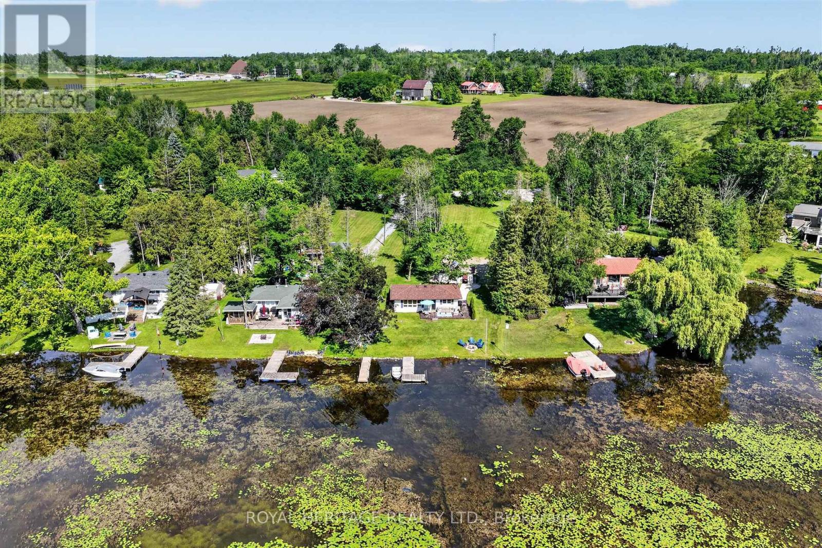 100 Clearview Drive, Kawartha Lakes (Emily), Ontario  K0L 2W0 - Photo 5 - X13487850