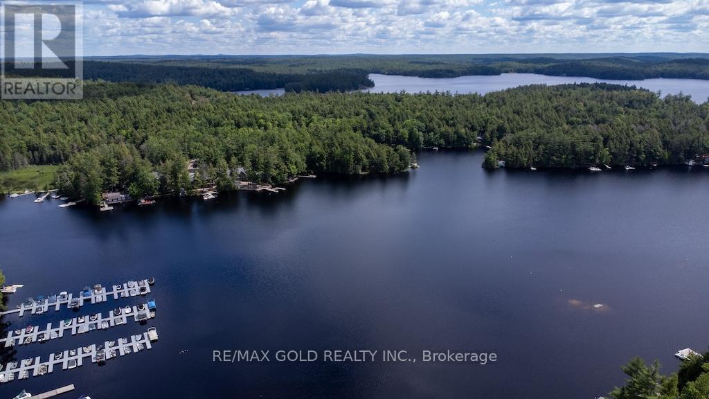 6 Fire Route 278, Trent Lakes, Ontario  K0L 1J0 - Photo 41 - X13491660