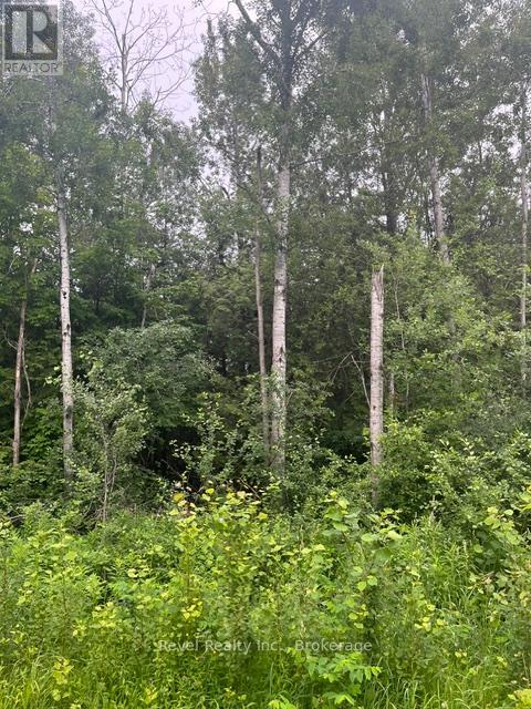 0 Lilac Road At Pigeon Lake Road, Kawartha Lakes (Ops), Ontario  K9V 4R3 - Photo 2 - X13492004