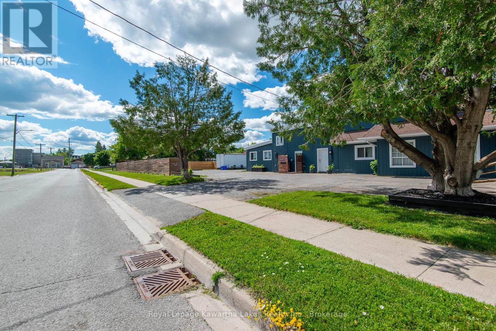 97 Cambridge Street S, Kawartha Lakes (Lindsay), Ontario  K9V 3C6 - Photo 47 - X13493556
