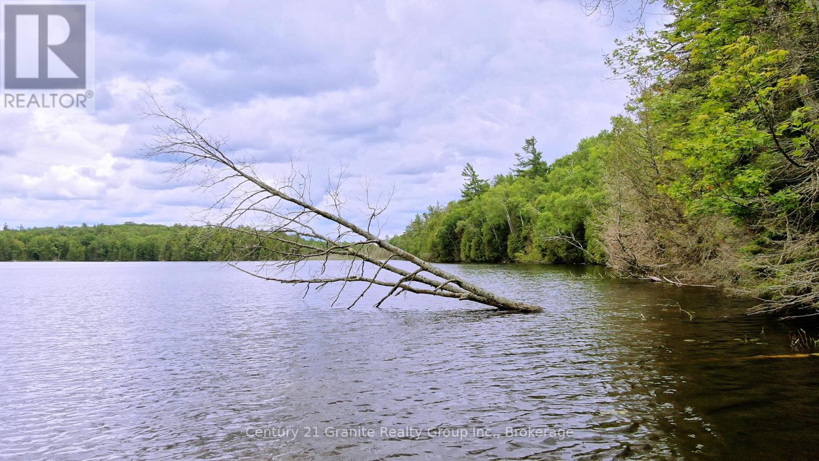 0 West Eels Lake Road, North Kawartha, Ontario  K0L 1A0 - Photo 12 - X13494450