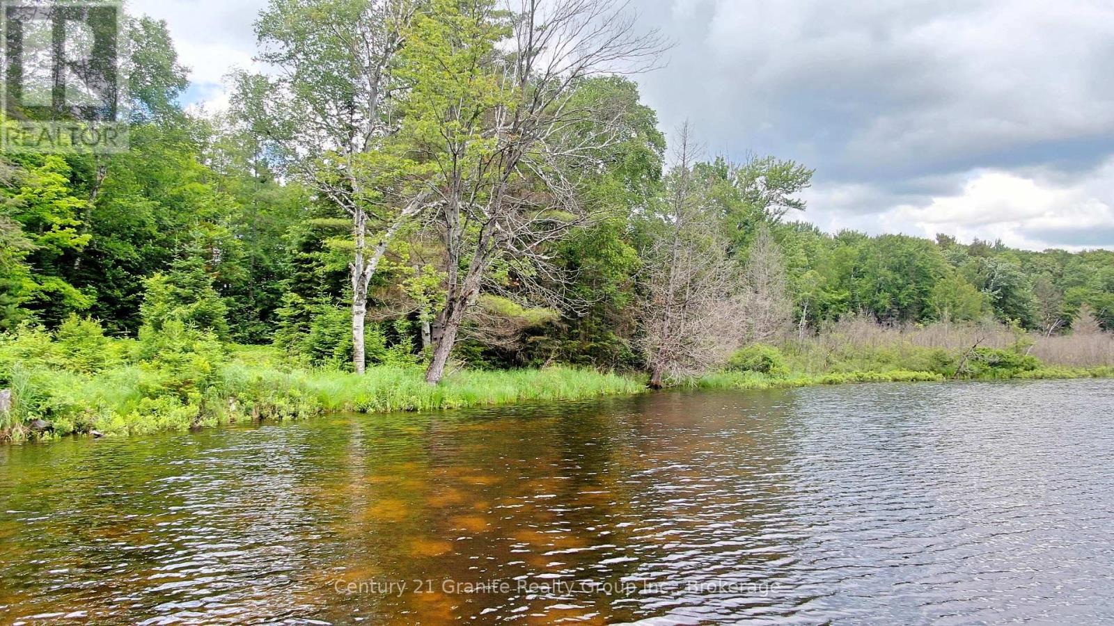 0 West Eels Lake Road, North Kawartha, Ontario  K0L 1A0 - Photo 13 - X13494450