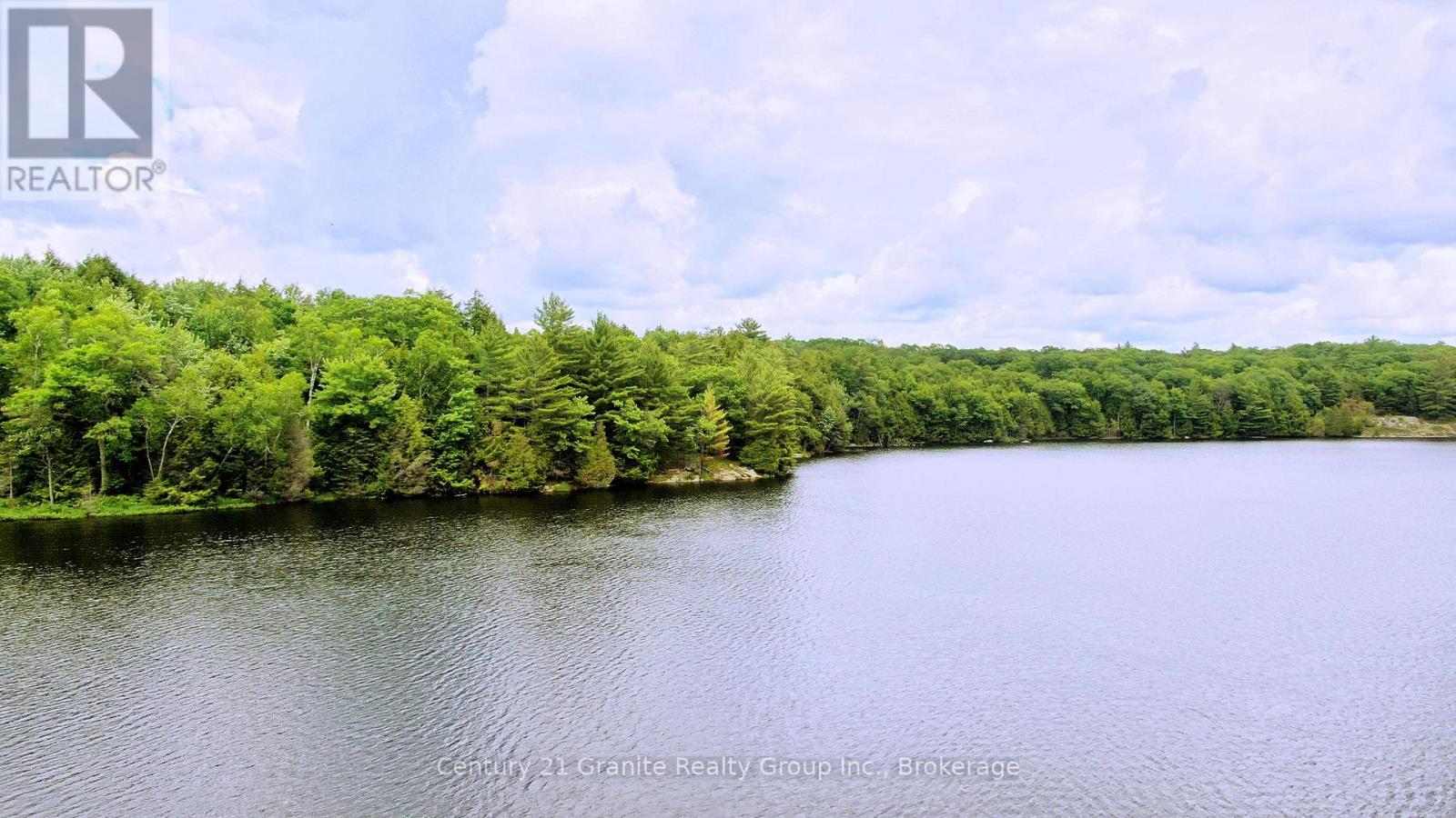 0 West Eels Lake Road, North Kawartha, Ontario  K0L 1A0 - Photo 14 - X13494450
