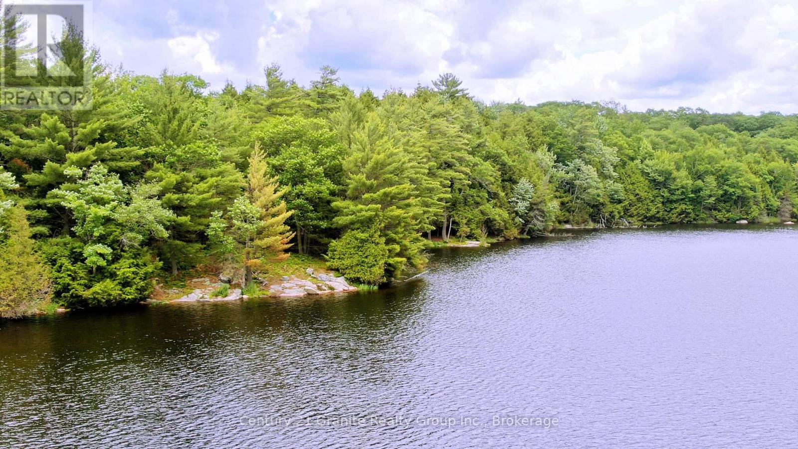 0 West Eels Lake Road, North Kawartha, Ontario  K0L 1A0 - Photo 15 - X13494450