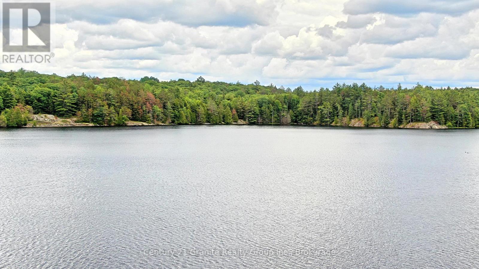 0 West Eels Lake Road, North Kawartha, Ontario  K0L 1A0 - Photo 16 - X13494450