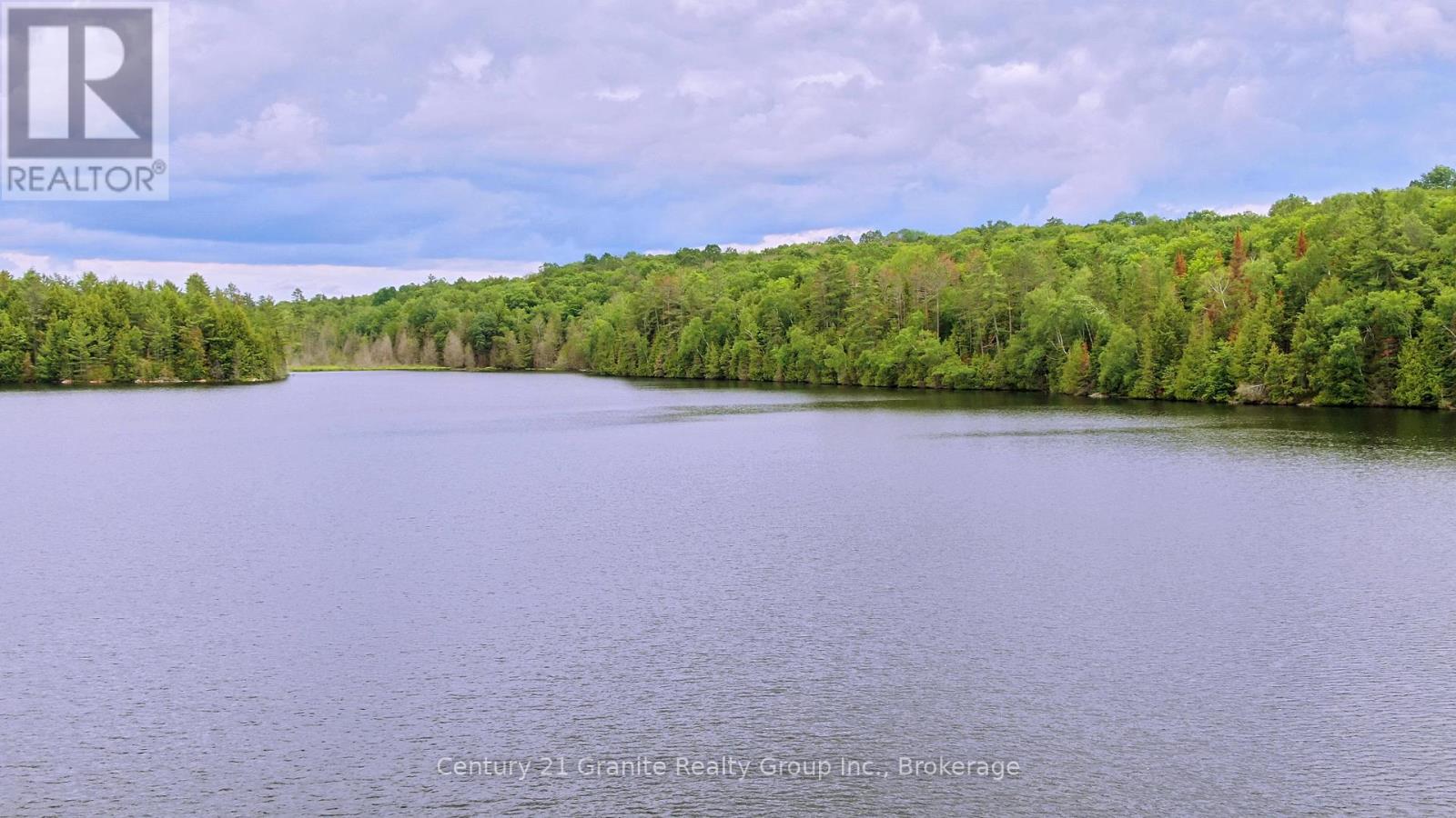 0 West Eels Lake Road, North Kawartha, Ontario  K0L 1A0 - Photo 17 - X13494450