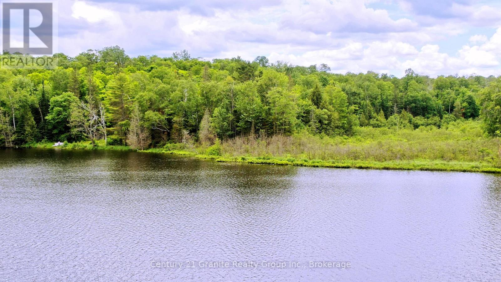 0 West Eels Lake Road, North Kawartha, Ontario  K0L 1A0 - Photo 18 - X13494450