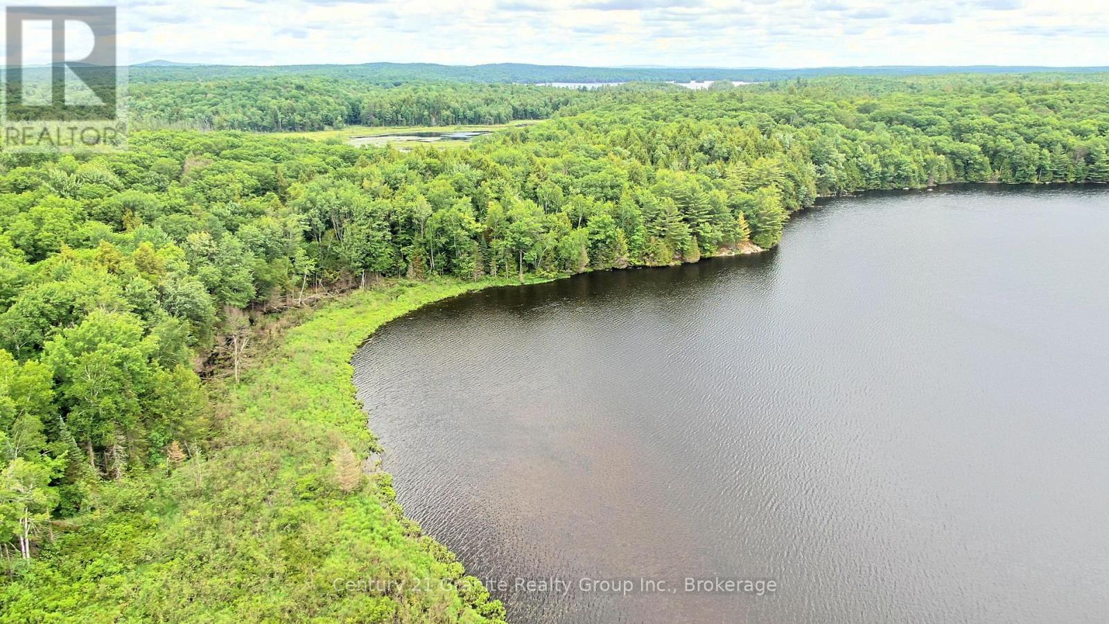 0 West Eels Lake Road, North Kawartha, Ontario  K0L 1A0 - Photo 5 - X13494450
