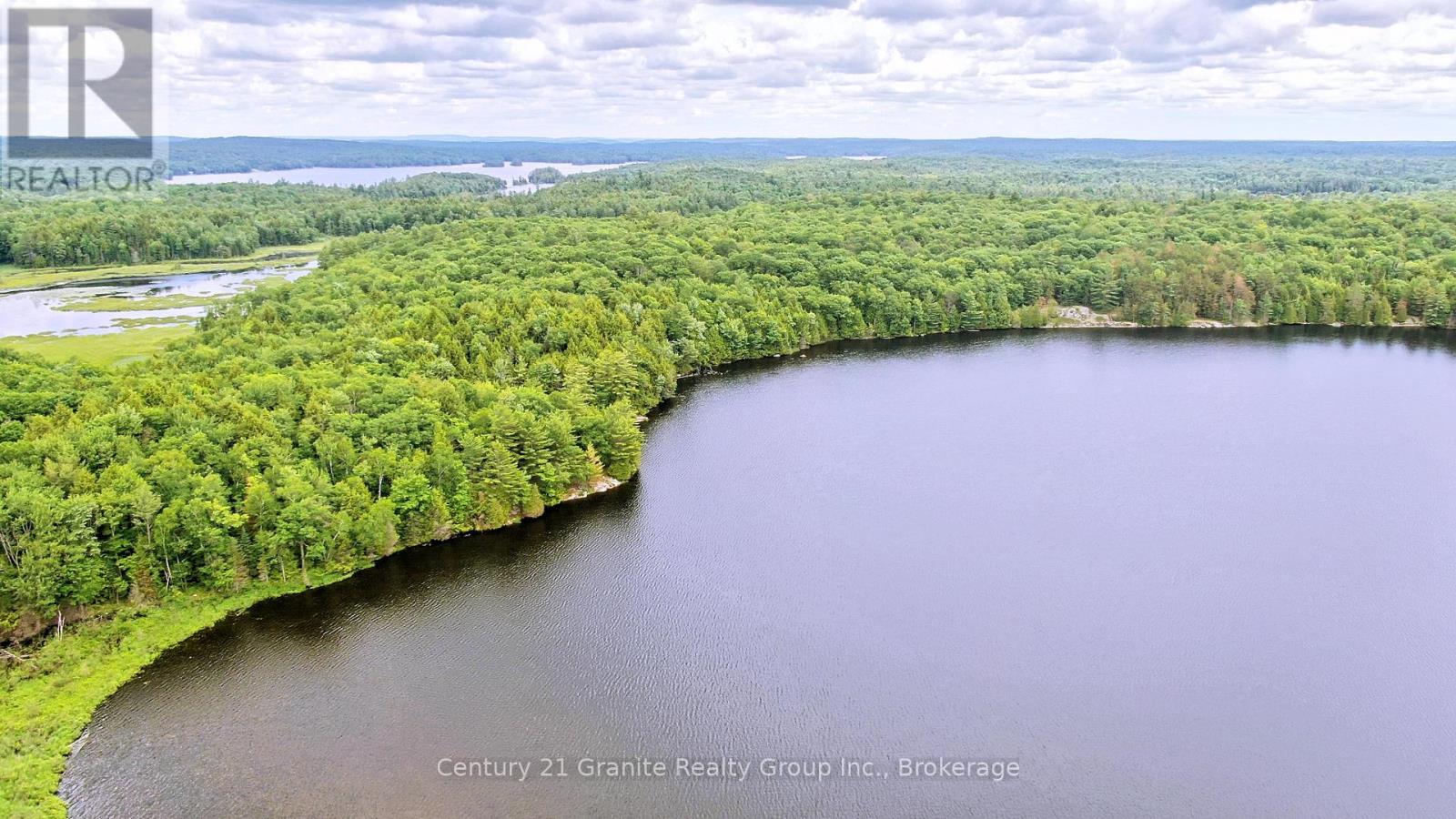 0 West Eels Lake Road, North Kawartha, Ontario  K0L 1A0 - Photo 6 - X13494450
