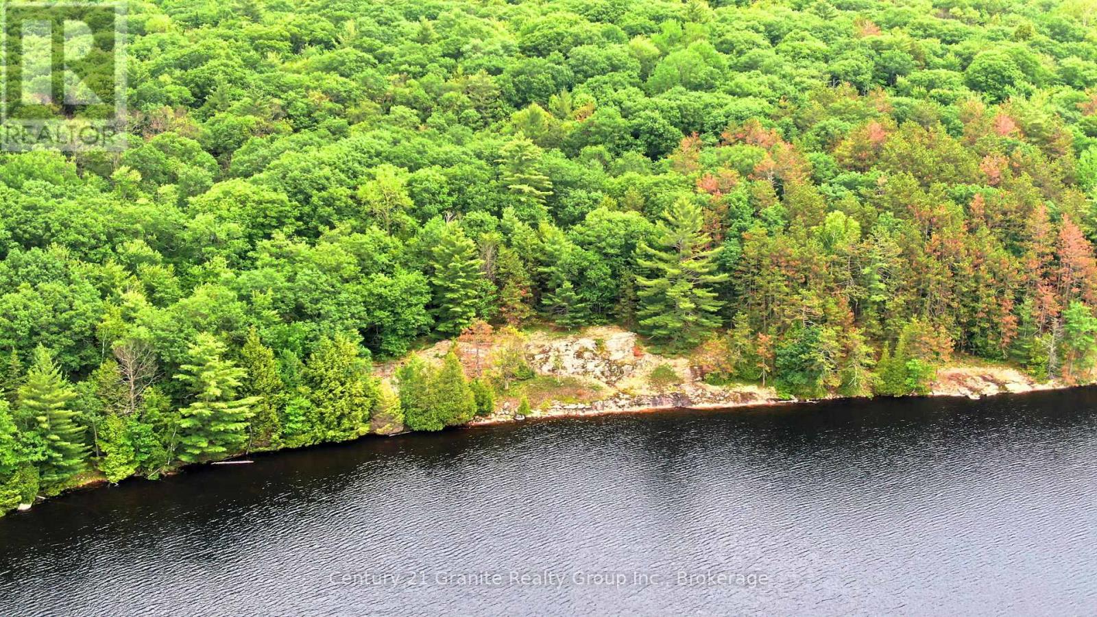 0 West Eels Lake Road, North Kawartha, Ontario  K0L 1A0 - Photo 8 - X13494450