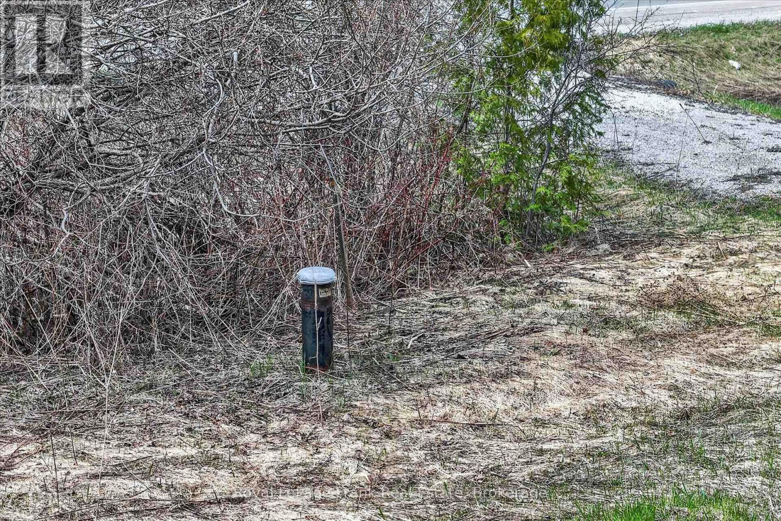 Lot 4 Lakefield Road, Selwyn, Ontario  K9J 6X5 - Photo 6 - X13494504