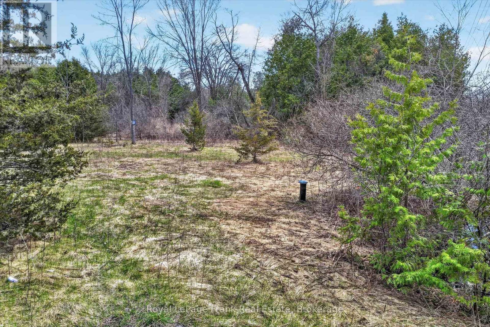 Lot 4 Lakefield Road, Selwyn, Ontario  K9J 6X5 - Photo 9 - X13494504
