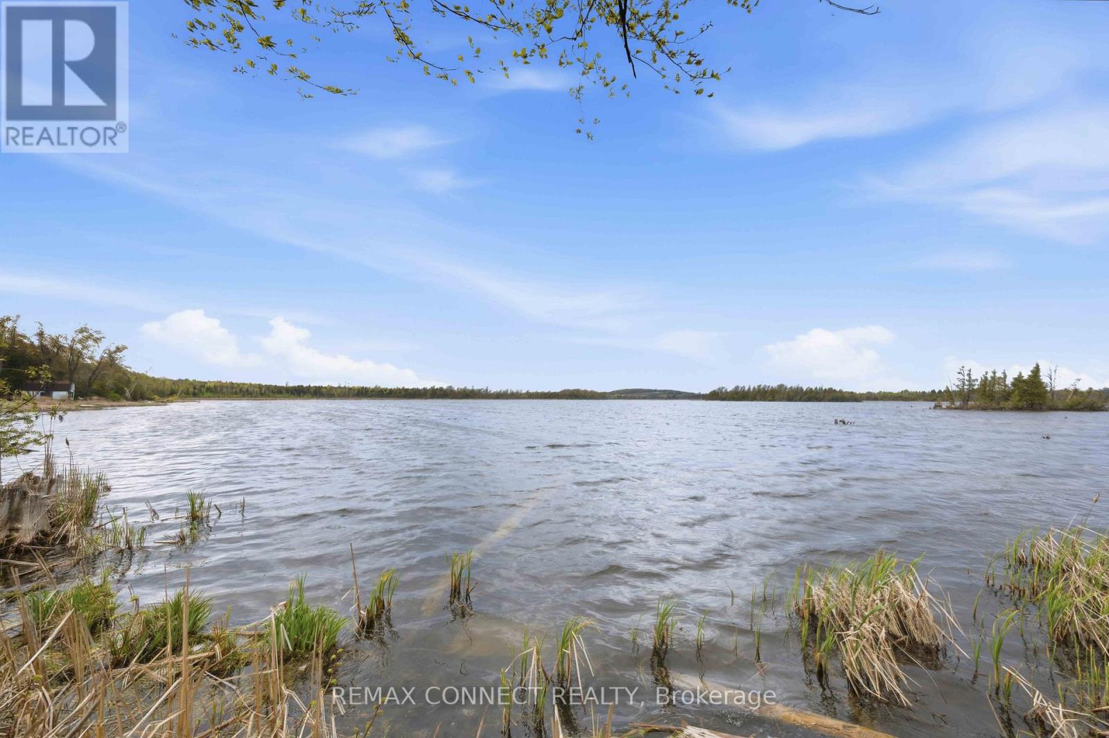 36 Helen Drive, Kawartha Lakes (Omemee), Ontario  K0L 2W0 - Photo 48 - X13495774