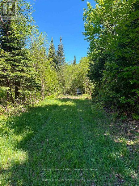 371 Albion Lake Drive, Faraday, Ontario  K0L 1C0 - Photo 3 - X13497464