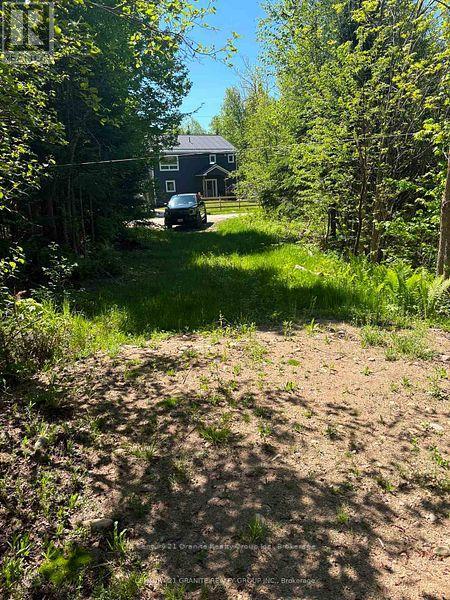 371 Albion Lake Drive, Faraday, Ontario  K0L 1C0 - Photo 5 - X13497464