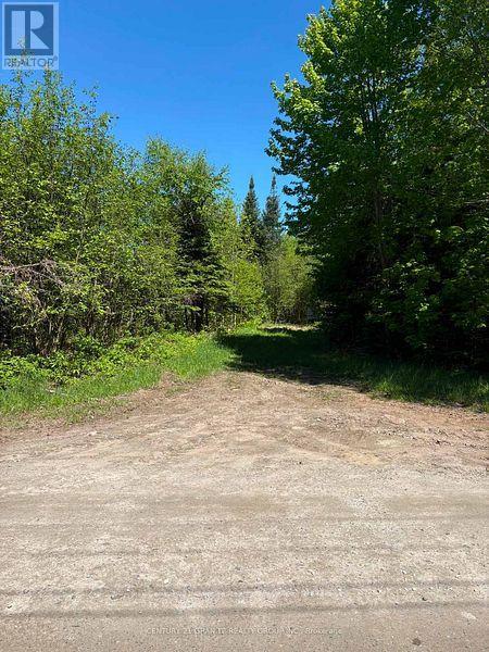 371 Albion Lake Drive, Faraday, Ontario  K0L 1C0 - Photo 6 - X13497464
