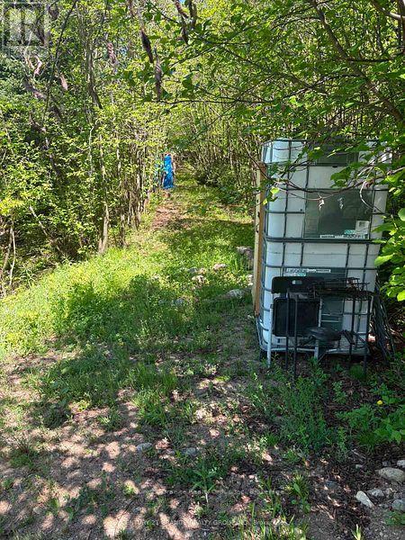 371 Albion Lake Drive, Faraday, Ontario  K0L 1C0 - Photo 7 - X13497464