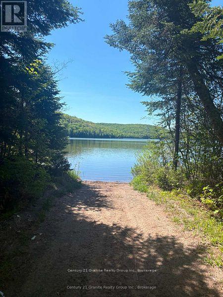 371 Albion Lake Drive, Faraday, Ontario  K0L 1C0 - Photo 8 - X13497464