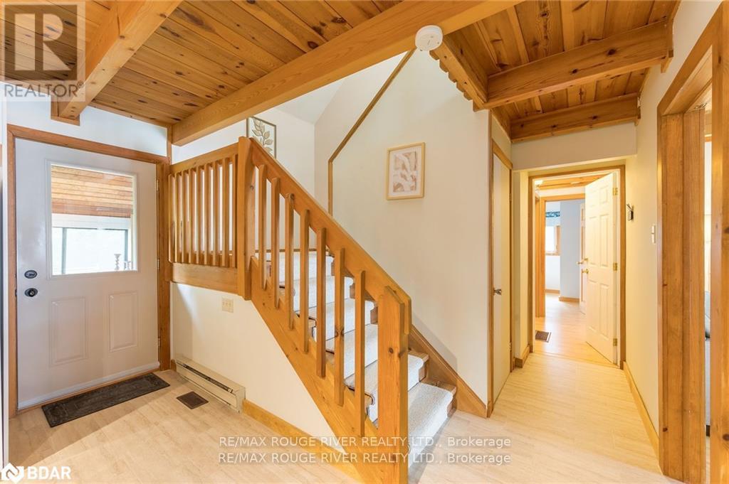 1280 Birchview Road, Douro-Dummer, Ontario  K0L 2H0 - Photo 26 - X13498692