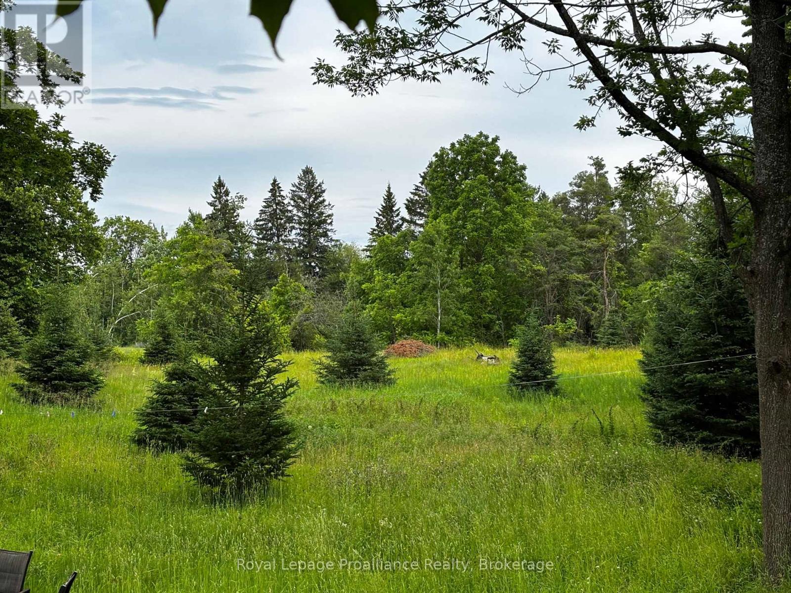 2683 Maplegrove Road, Cavan Monaghan (Cavan-Monaghan), Ontario  K9J 6X4 - Photo 18 - X13499898