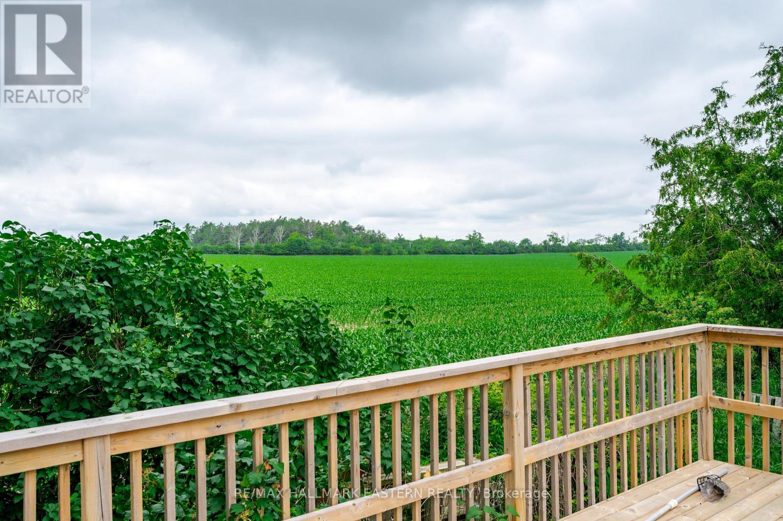 785 Highway 35, Kawartha Lakes (Manvers), Ontario  L0A 1K0 - Photo 33 - X13500168