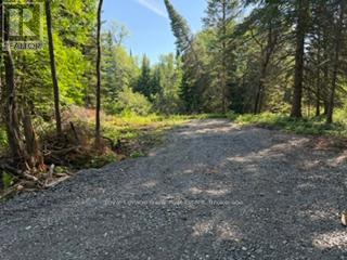 0 Pt Lt 13 Con 8 Road, Wollaston, Ontario  K0L 1A0 - Photo 2 - X13500252
