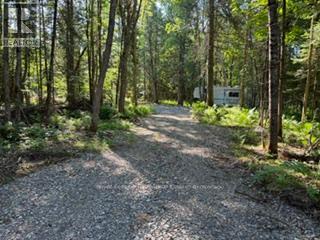 0 Pt Lt 13 Con 8 Road, Wollaston, Ontario  K0L 1A0 - Photo 4 - X13500252