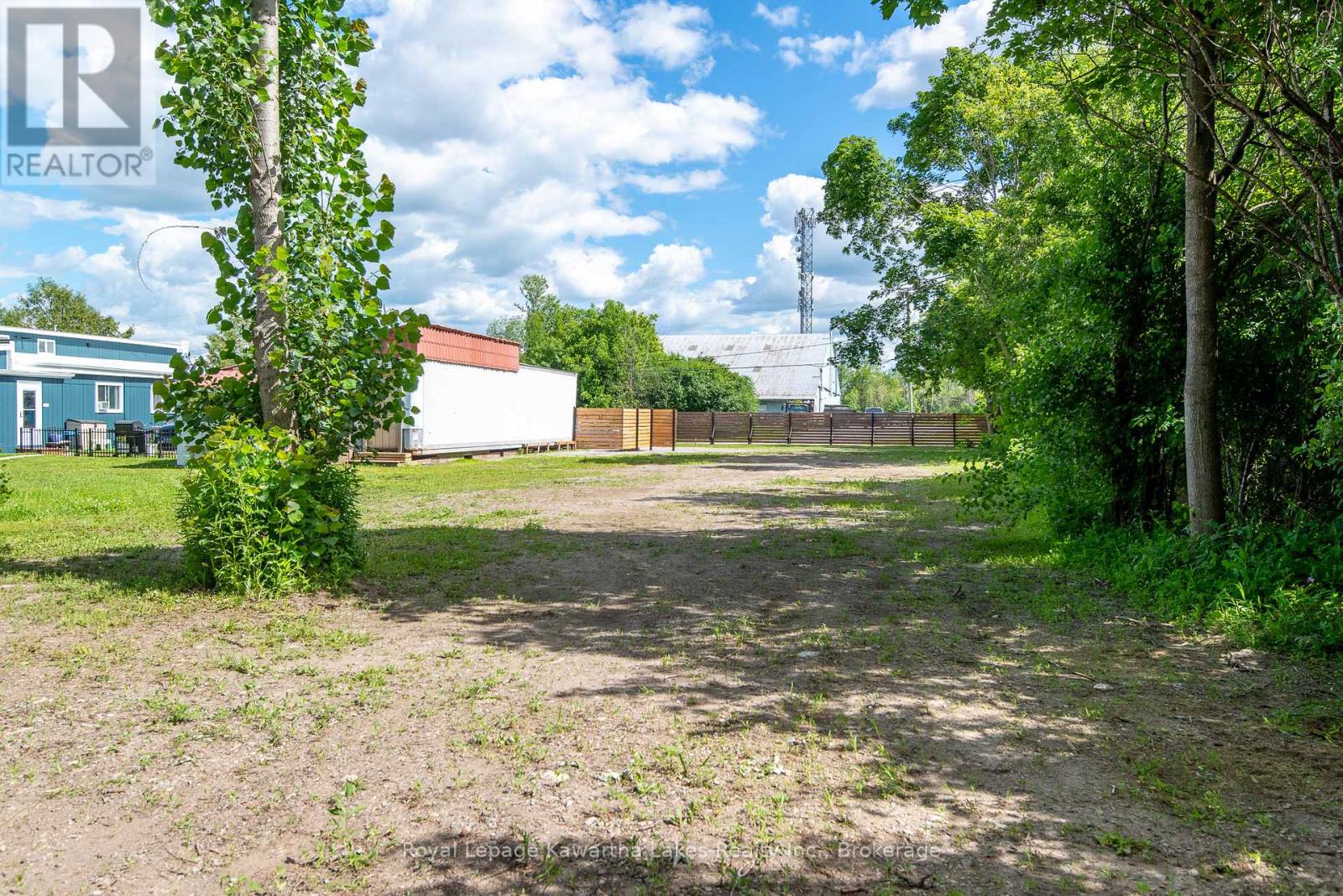 60 George Street W, Kawartha Lakes (Lindsay), Ontario  K9V 5H9 - Photo 4 - X13501342