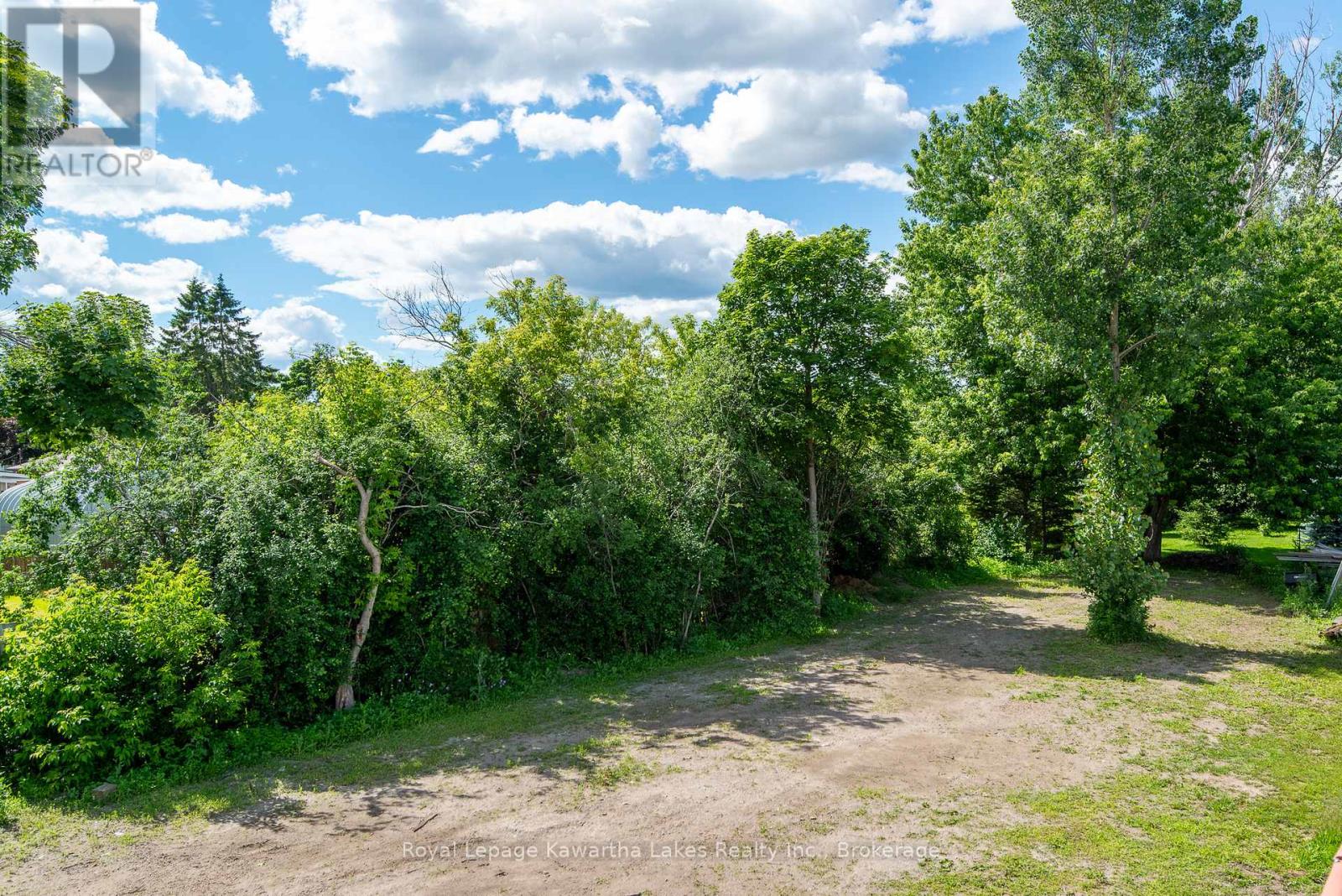 60 George Street W, Kawartha Lakes (Lindsay), Ontario  K9V 5H9 - Photo 5 - X13501342